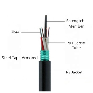 Gyts duy nhất chế độ 6 8 <span class=keywords><strong>12</strong></span> 24 48 96 lõi sợi cáp quang ngoài trời bọc thép g652d sợi cáp quang Nhà cung cấp Trung Quốc - Product Image 3