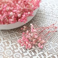 Hete Aanbieding 50 Stelen Mini Natuurlijke Everlasting Gedroogde Bloem Baby's Adem Ge conserveerde Gypsophila Bruiloft Decoratie Corsage Uitnodiging