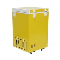 Congélateur coffre solaire 220V, porte simple, sans givre, efficacité énergétique A++, puissance réglable, usage domestique, direct usine