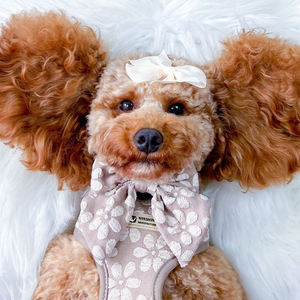 Luxuriöses Haustiergeschirr mit Blumenmuster-Jacquard, Halsbänder mit D-Ring-Leine, personalisiertes Hundezubehör - Product Image 3