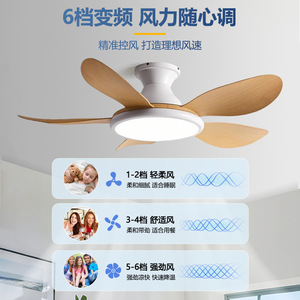 <b>Ceiling</b> <b>Fan</b> Light With Led Integrated Fixed Blade For Living Room Bedroom 5 Year Warranty - Product Image 3