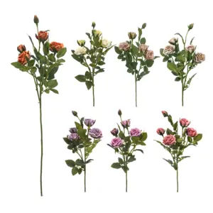 27 "DIAMANTE <span class=keywords><strong>FLORIBUNDA</strong></span> <span class=keywords><strong>ROSA</strong></span> FLOR SPRAY, 4F 1B[EF11054] - Product Image 1