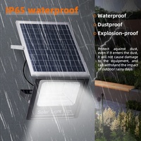 Reflector Solar LED para Exteriores, Comercial, Regulable, Impermeable IP65, 30W, Alta Luminosidad, 6000K Luz Diurna, 2 Años de Garantía, CRI 80, Haz de Luz de 120°