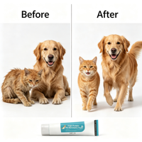 Pâte multivitaminée assortie pour animaux de compagnie, pâte multivitaminée pour chats et chiens, soutien immunitaire, absorption rapide, haute teneur en protéines, 120 g, OEM ODM, étiquette privée