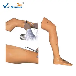 Mannequins d'infirmières de simulateur de soins infirmiers de jambe de pratique de suture avancée pour la formation médicale d'enseignement