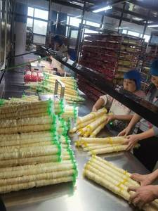 Tripa de Cerdo Seca Natural en Stock, Calibre 65mm, Grado A, Marca Jingyan para Salami y Salchichas - $0.22/m - Product Image 3