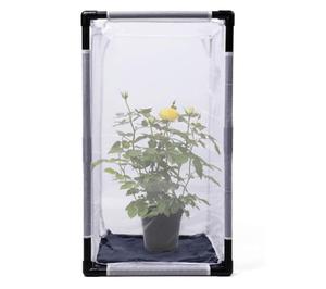 Large Eco-Friendly Outdoor Insect Mesh Cage <strong>Terrarium</strong> Collapsible Caterpillar Habitat Solid Pattern <strong>Plastic</strong> Tray Pallet Zipper - Product Image 1