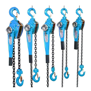 เครื่องยกโซ่มือแบบพกพา, เครื่องยกโซ่แบบแมนนวล - Product Image 2