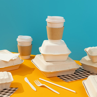 Récipient alimentaire en bagasse de canne à sucre écologique Boîtes de restauration à clapet Assiettes à emporter Bols Plateaux Vaisselle