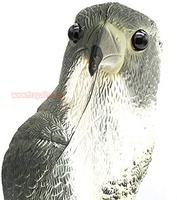 Aigle de jardin en forme d'oiseau Pigeon Sparrow Dissuasion Hawk Falcon Bird Scarecrow