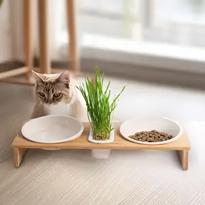 J&C Xmax Gift Home Use Pussycat Bowl with Micro Green Tray Cat Grass Growing Plastic Tray for Micro-greens Home Growing