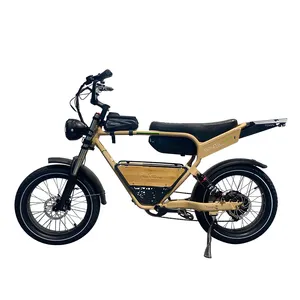 Bicicleta elétrica de montanha com motor sem escova de 750 W e freio a disco, bicicleta elétrica de baixo preço para motocicleta, ideal para venda