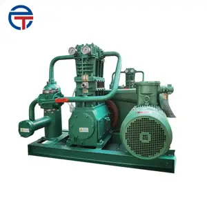 China Portable LPG CNG Compressor Biogas Compressor Petroleum Gas Booster Compressor
