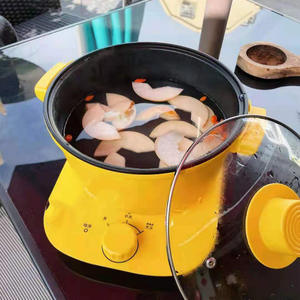 Marmite électrique Duck Brand 2,5 kg avec boîtier en plastique, pot à bouillie, cuiseur multifonction domestique - Product Image 3