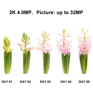 Mini caméra Time-lapse WiFi 4MP 1080p HD Video CMOS LED Lights 128GB Storage Large 50-Day Battery Capacity Night Time Shooting - Product Image 3