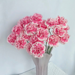 Girofle <span class=keywords><strong>Xiao</strong></span> <span class=keywords><strong>Yan</strong></span> de qualité supérieure - Rose et blanc pour bouquets - Product Image 6