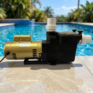 Pompe de piscine de haute qualité, pompe électrique, fonctionnalités personnalisables OEM, marque <span class=keywords><strong>Poolstar</strong></span>, certifiée CE, facile à utiliser - Product Image 1