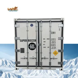 20ft Deep -70 Degree Freezer Container A New Option for Cold Chain Logistics