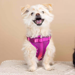 小型中型大型犬用,デザイナーペット犬用ハーネス通気性ポリエステル耐久性のあるファッション犬用ベスト - Product Image 5