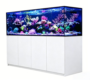 Acquario Marino Rettangolare Grande RedSea Israel Reefer MAX G3 Set Completo per Coralli con Vetro Ultra Trasparente Rinforzato ReefSpec - Product Image 5