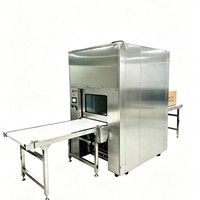 Fenêtre de transfert à douche d'air levante avec filtre HEPA à efficacité de 99,99 % pour salle blanche, convoyeur automatique pour atelier sans poussière 1000