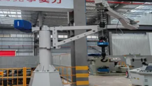 Palan à chaîne à fréquence Variable série D2 nouveau palan électrique <span class=keywords><strong>KAWASAKI</strong></span> palan <span class=keywords><strong>125</strong></span> kg 3m M6 380V/220V - Product Image 4