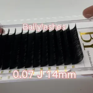 Eyelash Extension Manufacture Hot Selling Super Eyelash Extension Natural Volume Lash Faux Mink Lashes Individual Heat Lashes