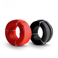 4mm2 6mm2 10mm2 16mm2 Solar-PV-Kabel für Photovoltaik-Anlagen Flexibles Verzinntes Kupfer XLPE LSZH-Mantel Verschiedene Größen