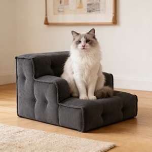 Escaliers en mousse <span class=keywords><strong>pour</strong></span> animaux de compagnie, design moderne et luxueux, personnalisables, légers, <span class=keywords><strong>pour</strong></span> lit et meubles, de la marque Disian - Product Image 1