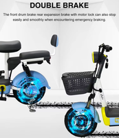 Vélo électrique à gros pneus, batterie au plomb-acide 48V, autonomie 55-65 km, cadre en acier à haute teneur en carbone, moyeu arrière, roues de 14 pouces, longue autonomie, électronique