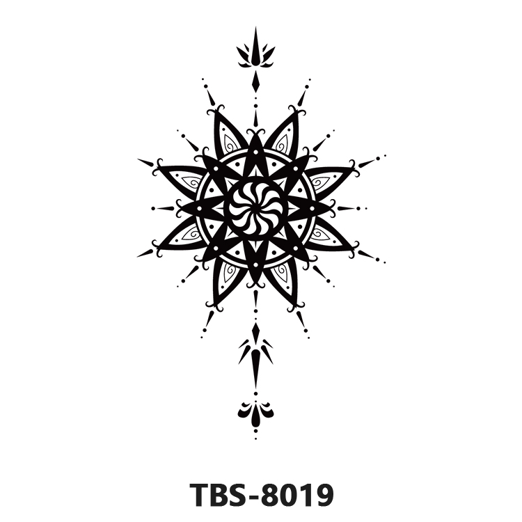 TBS-8019&nbsp;:&nbsp;TBS-8019