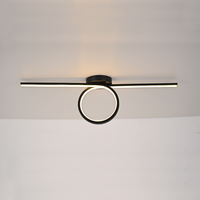 Plafonnier LED moderne OEM pour chambre et salon, éclairage décoratif intérieur en bande longue, base en fer, lumière du jour 6000K, 20000 heures, IRC80
