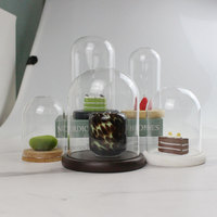 Cloche en dôme d'affichage en verre Cloche en dôme transparent avec socle en bois Vitrine de pot de table pour mariage à domicile