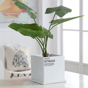 Jardinières créatives simples, grands pots à fleurs carrés <span class=keywords><strong>en</strong></span> ciment pour bonsaï avec trous et plateaux - Product Image 6