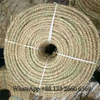 Tresseuse à torsion de corde ronde en sisal Machine à tresser semi-automatique en corde de chanvre pour usage domestique