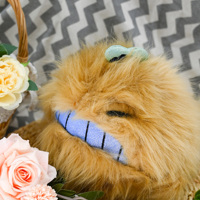 Peluche personnalisée à câliner, ornement de bureau pour soulager le stress et la compagnie