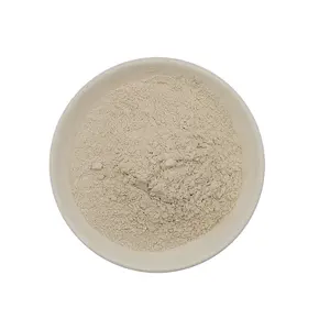 Additivo per vernice in polvere di bentonite organica bianca prezzo di bentonite organica modifica bentonite di sodio di calcio