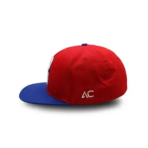 Boné snapback ajustável personalizado de fábrica com seu próprio logotipo clássico Oem em branco bordado 3D personalizado