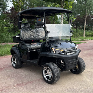Carrito de Golf de 2 Plazas Apto para Campos de Golf, Equipado con Baterías de Litio/Plomo-Ácido Personalizables de 48V/60V/72V - Product Image 3
