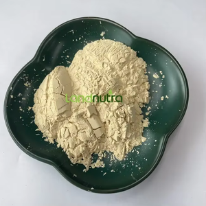 Landnutra thảo mộc tự nhiên chiết xuất 99% Panax <span class=keywords><strong>Ginseng</strong></span> chiết xuất nhân sâm gốc bột nhân sâm <span class=keywords><strong>10</strong></span>%- <span class=keywords><strong>80</strong></span>% ginsenosides - Product Image 4