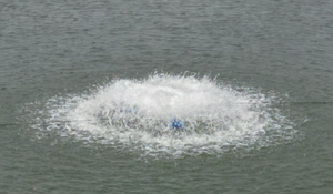 Aireador eléctrico <span class=keywords><strong>de</strong></span> rueda <span class=keywords><strong>de</strong></span> paleta <span class=keywords><strong>de</strong></span> 0,75 kW, máquina <span class=keywords><strong>de</strong></span> aireación <span class=keywords><strong>de</strong></span> paletas, aireador <span class=keywords><strong>de</strong></span> estanque <span class=keywords><strong>de</strong></span> gambas - Product Image 6