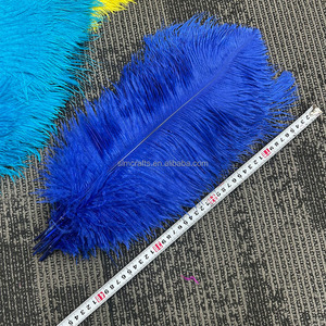 Plumas de Avestruz Naturales Teñidas al por Mayor de 40-45 cm, Multicolores, para Centros de Mesa de Boda, Disfraces de Carnaval y Decoración - Product Image 3
