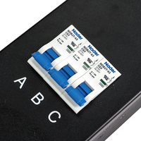 Clever pdu 63A 12 prises C19 Prises personnalisées Prise Basic PDU 63A disjoncteur télécommande de chaque prise marche/arrêt