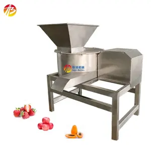 Manzana tomate fresa fruta trituradora exprimidor máquina trituradora de frutas Máquina trituradora proveedores de frutas