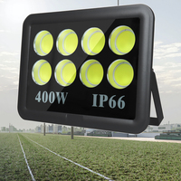 Haute puissance 50W 100W 200W 300W 400W 500W 600W Projecteur COB pour stade