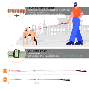 UMIONE Guinzaglio per Cani di Lusso Personalizzato con Motivo Floreale, Manico Riflettente in Nylon, Elastico Regolabile per Passeggiate a Mani Libere - Product Image 5