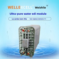 WELLEXCELL Module de membrane EDI à eau ultra-pure IP-LXM45Z de 5 tonnes Composants PLC 220V Tension Garantie 1 an directement des États-Unis