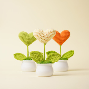 Macetas Tejidas a Mano con Forma de Corazón de 14 cm para Regalos de Graduación, Día del Maestro, Día de la Diosa - Product Image 2