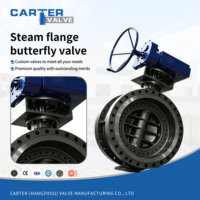 Válvula de Mariposa de Vapor Sellada de Metal con Triple Desplazamiento Carter, Brida RF de Acero Inoxidable SS304, Engranaje de Tornillo sin Fin para Vapor Saturado, PN64, Certificación ASME CE