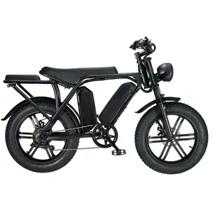 Fat Tyre Motorbike E Bike 20 Inch Electric Bikes Factory Direct Sale ouxi v8 750W 1000W Alloy 2 seat Youth Electric Cycle